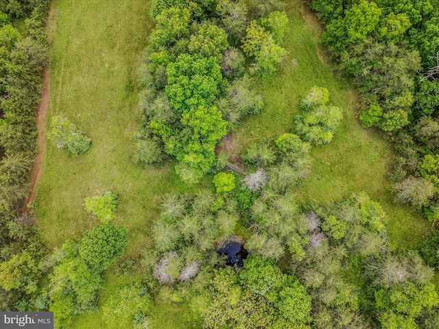 2429 Posey Hollow Rd, Berkeley Springs, WV 25411