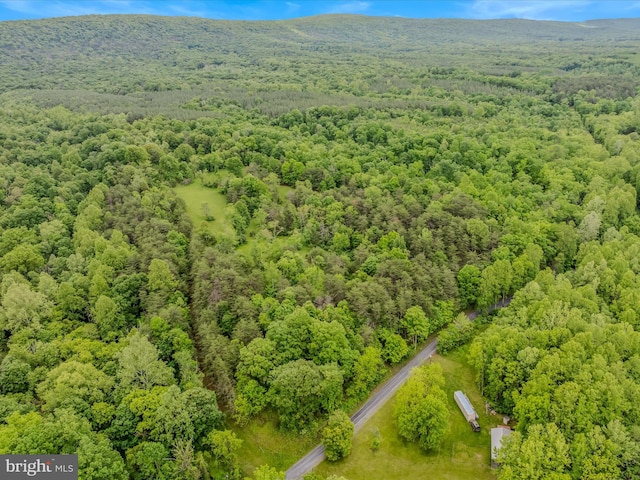2429 Posey Hollow Rd, Berkeley Springs, WV 25411