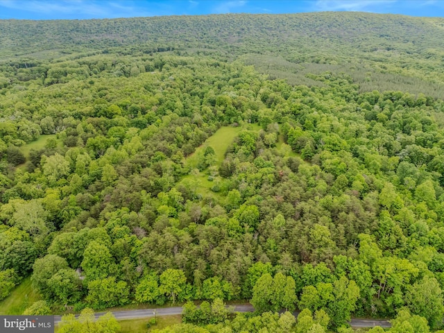 2429 Posey Hollow Rd, Berkeley Springs, WV 25411