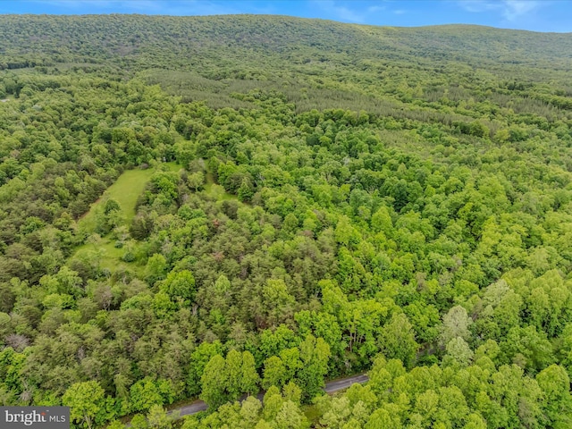 2429 Posey Hollow Rd, Berkeley Springs, WV 25411
