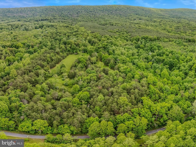 2429 Posey Hollow Rd, Berkeley Springs, WV 25411