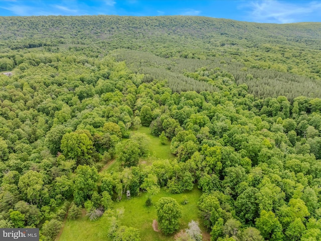 2429 Posey Hollow Rd, Berkeley Springs, WV 25411