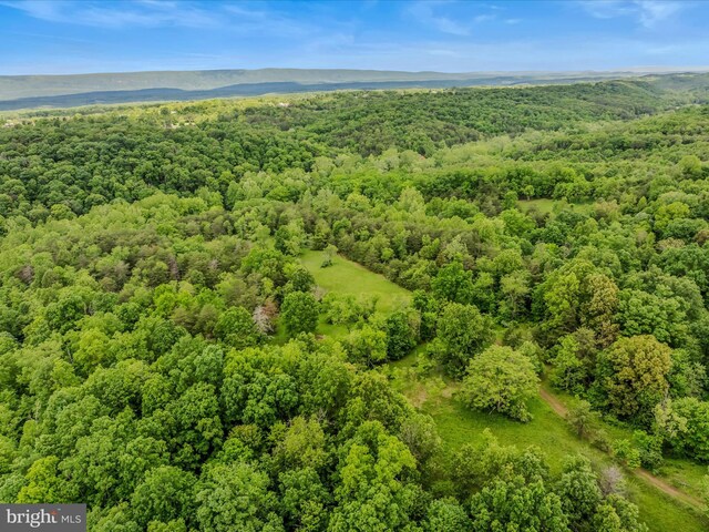 2429 Posey Hollow Rd, Berkeley Springs, WV 25411