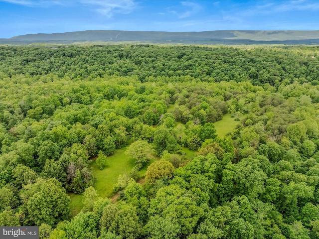 2429 Posey Hollow Rd, Berkeley Springs, WV 25411