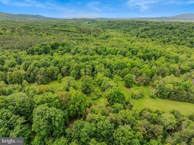 2429 Posey Hollow Rd, Berkeley Springs, WV 25411