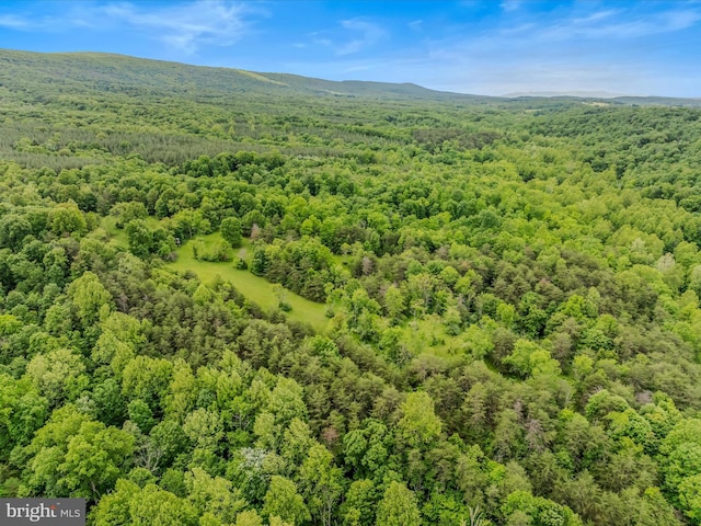 2429 Posey Hollow Rd, Berkeley Springs, WV 25411