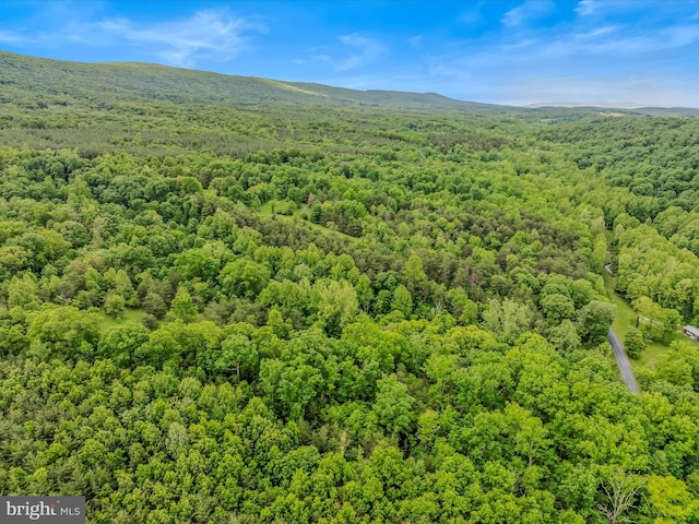 2429 Posey Hollow Rd, Berkeley Springs, WV 25411