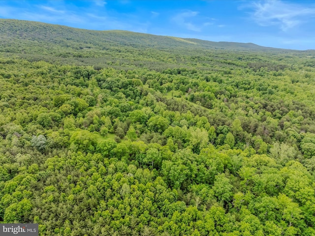 2429 Posey Hollow Rd, Berkeley Springs, WV 25411
