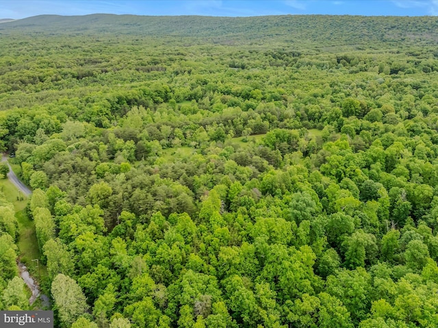 2429 Posey Hollow Rd, Berkeley Springs, WV 25411