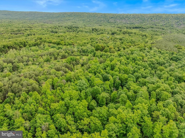 2429 Posey Hollow Rd, Berkeley Springs, WV 25411