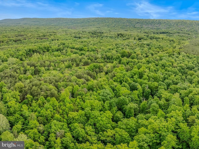 2429 Posey Hollow Rd, Berkeley Springs, WV 25411