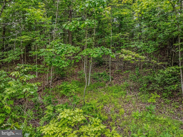 2429 Posey Hollow Rd, Berkeley Springs, WV 25411