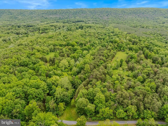 2429 Posey Hollow Rd, Berkeley Springs, WV 25411