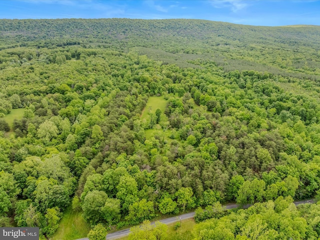 2429 Posey Hollow Rd, Berkeley Springs, WV 25411