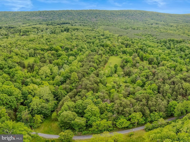 2429 Posey Hollow Rd, Berkeley Springs, WV 25411
