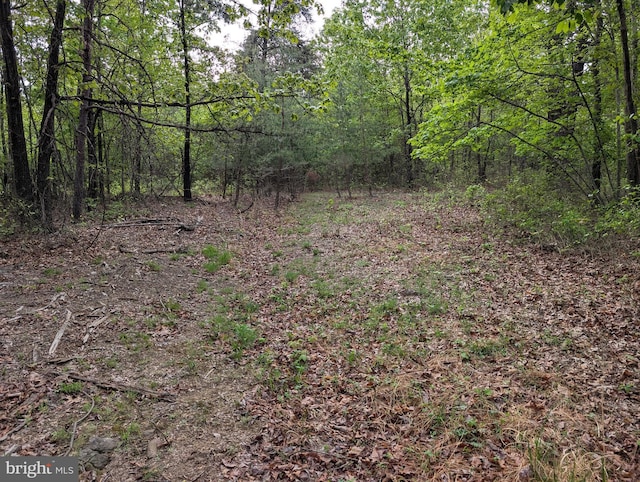 2429 Posey Hollow Rd, Berkeley Springs, WV 25411
