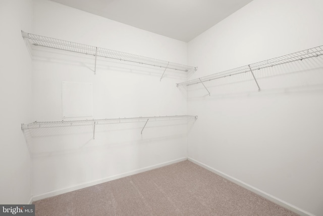 54 Ruddy Duck Ln, Bridgeville, DE 19933 - walk in closet featuring carpet flooring
