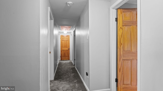 141 N Woodbine Ave, Langhorne, PA 19047 - corridor featuring carpet floors and baseboards