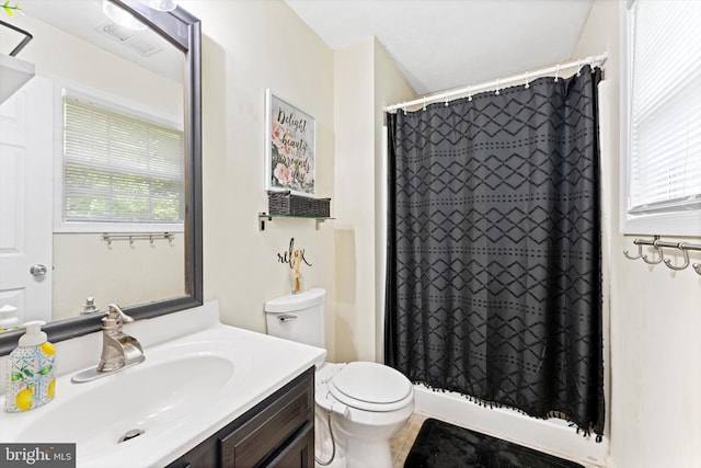 308 Fawn Dr, Winchester, VA 22602 - bathroom with vanity, plenty of natural light, toilet, and a shower with shower curtain
