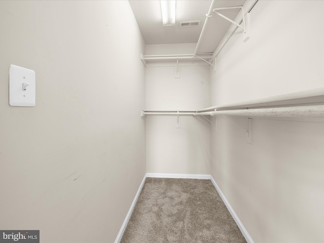 7827 Catherine Ave, Pasadena, MD 21122 - walk in closet with carpet flooring