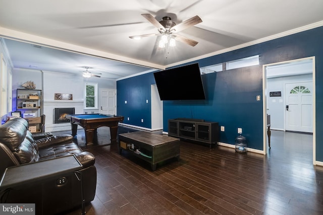 10560 S Faulkner Rd, Faulkner, MD 20632 - living room with a ceiling fan, baseboards, wood finished floors, ornamental molding, and a large fireplace