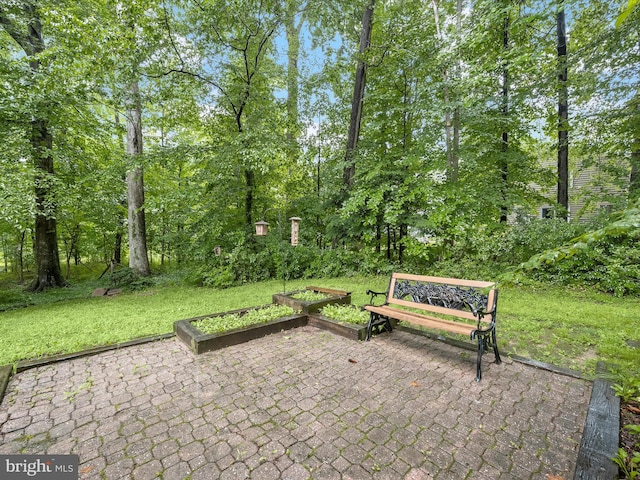 5264 Open Window, Columbia, MD 21044 - view of patio with a garden