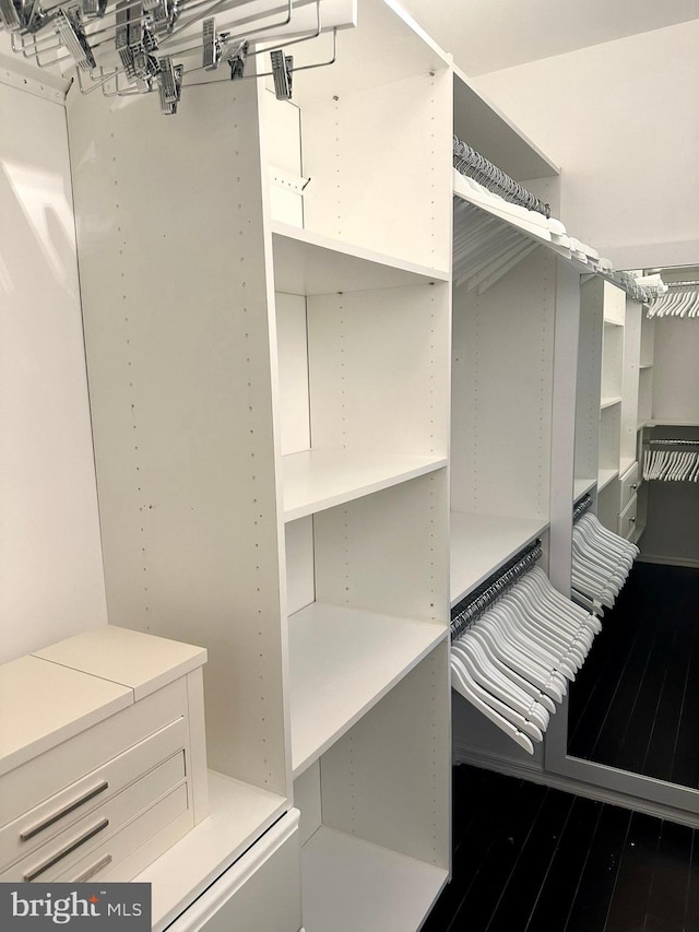 19 Center St, Barnegat, NJ 08005 - spacious closet featuring dark wood-type flooring