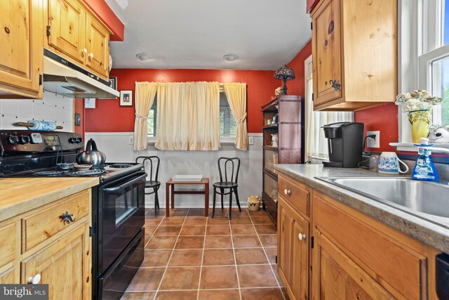 1011 Woodcliffe Ave, Media, PA 19063 - kitchen with black electric range oven, under cabinet range hood, plenty of natural light, and tile patterned flooring