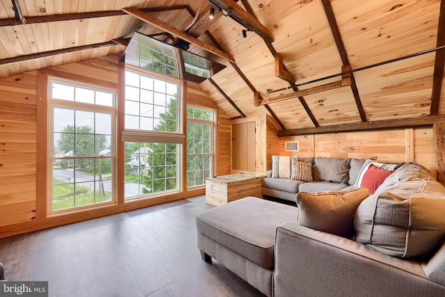 1700 N Texter Mountain Rd, Reinholds, PA 17569 - living room featuring wood ceiling with exposed beams, wooden walls, wood finished floors, and high vaulted ceiling