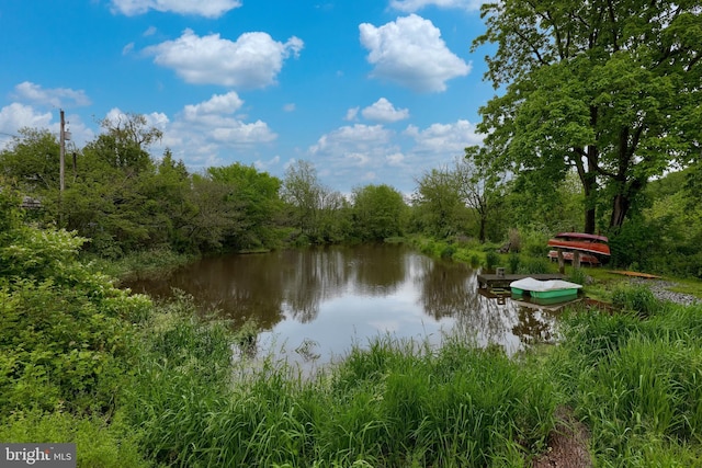 1700 N Texter Mountain Rd, Reinholds, PA 17569 - water view with a heavily wooded area and a dock