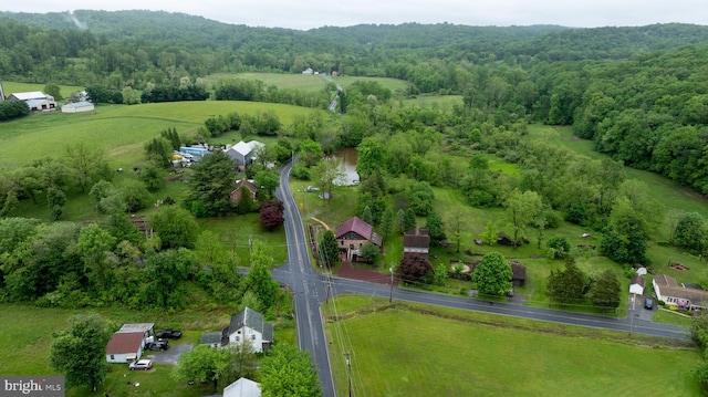 1700 N Texter Mountain Rd, Reinholds, PA 17569 - aerial view of a forest