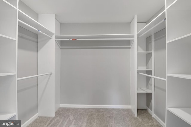 3604 White Ave, Baltimore, MD 21206 - spacious closet featuring carpet floors