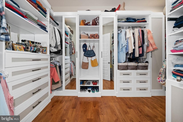5 Raintree Rd, Chadds Ford, PA 19317 - spacious closet with wood finished floors