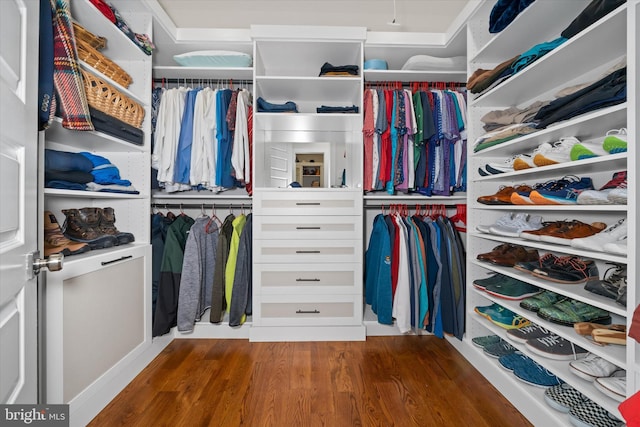 5 Raintree Rd, Chadds Ford, PA 19317 - walk in closet featuring wood finished floors