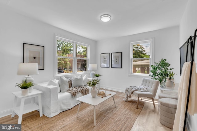 4428 Edson Pl NE, Washington, DC 20019 - living room featuring healthy amount of natural light, light wood-type flooring, and baseboards