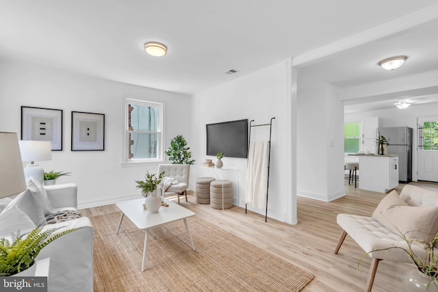 4428 Edson Pl NE, Washington, DC 20019 - living room featuring light wood-style floors and baseboards