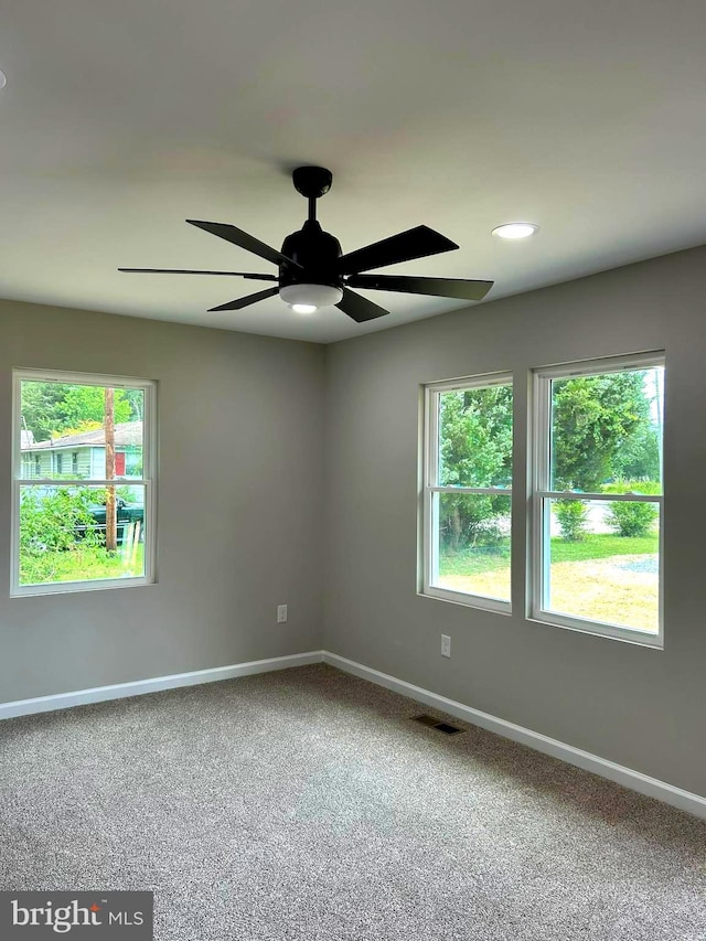 14400 Northumberland Hwy, Heathsville, VA 22473 - empty room featuring baseboards, ceiling fan, carpet flooring, and plenty of natural light