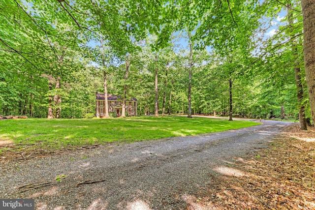 16909 Batchellors Forest Rd, Silver Spring, MD 20906 - view of dirt / gravel road featuring a forest view