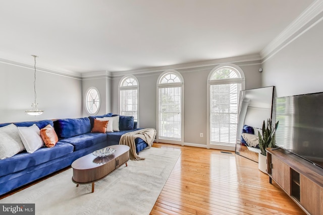 9093 Acheson Ct, Lorton, VA 22079 - living room with ornamental molding, light wood-style flooring, healthy amount of natural light, and baseboards