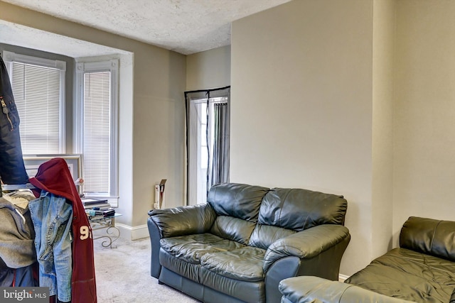 5109 Ivanhoe Ave, Baltimore, MD 21212 - carpeted living area featuring a textured ceiling and baseboards