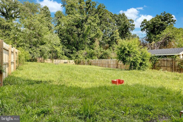 5109 Ivanhoe Ave, Baltimore, MD 21212 - view of yard