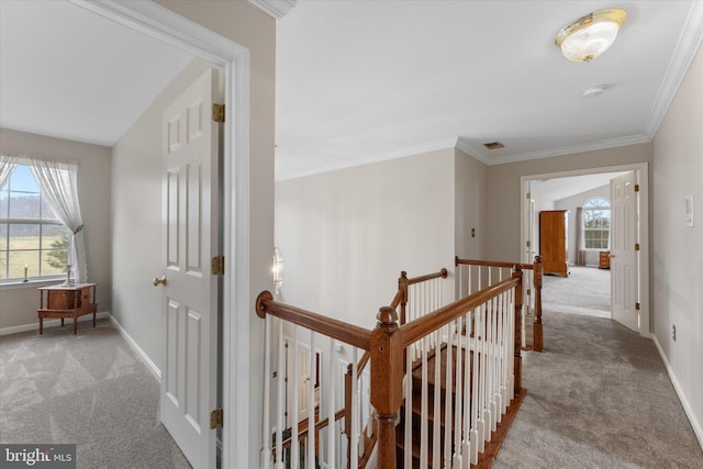 hallway featuring carpet flooring, plenty of natural light, an upstairs landing, and crown molding