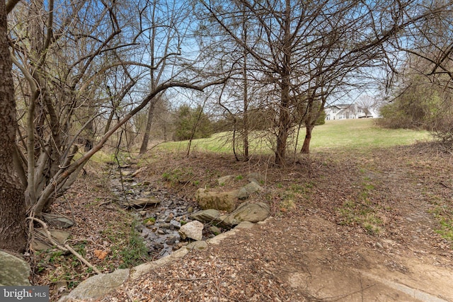 view of grassy yard