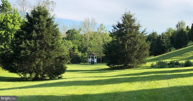 view of community with a yard