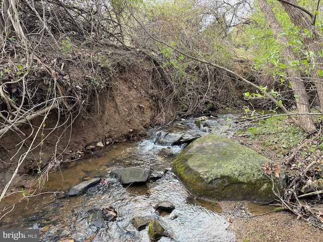 view of local wilderness
