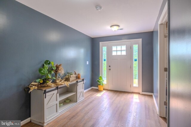 107 Arbutis Trl, Star Tannery, VA 22654 - entrance foyer with baseboards and light wood-style flooring