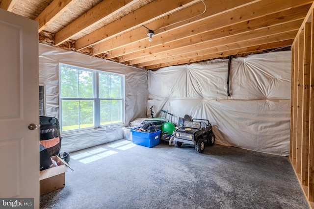 107 Arbutis Trl, Star Tannery, VA 22654 - view of storage room