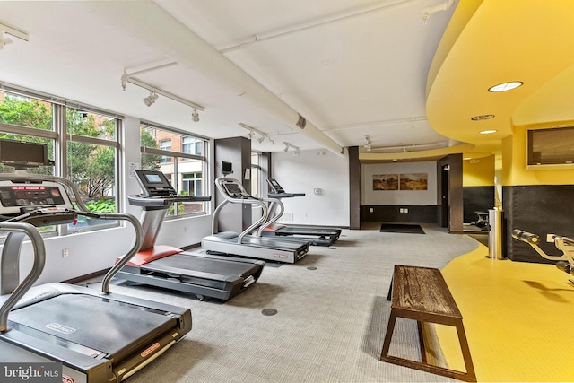 3600 S Glebe Rd Unit 605W, Arlington, VA 22202 - gym with rail lighting and carpet floors