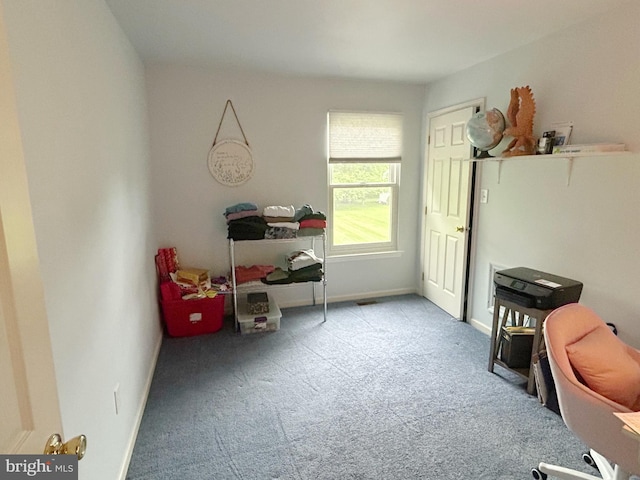 3603 Regency Dr, Reading, PA 19608 - office with carpet and baseboards