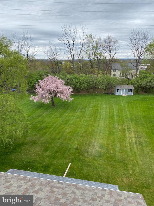 3603 Regency Dr, Reading, PA 19608 - view of grassy yard with an outdoor structure